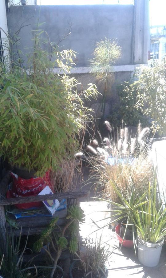 לה סרנה Habitaciones Florencia מראה חיצוני תמונה
